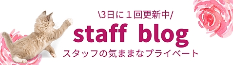 スタッフブログ